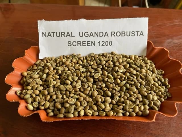 Natural Uganda Robusta 1200