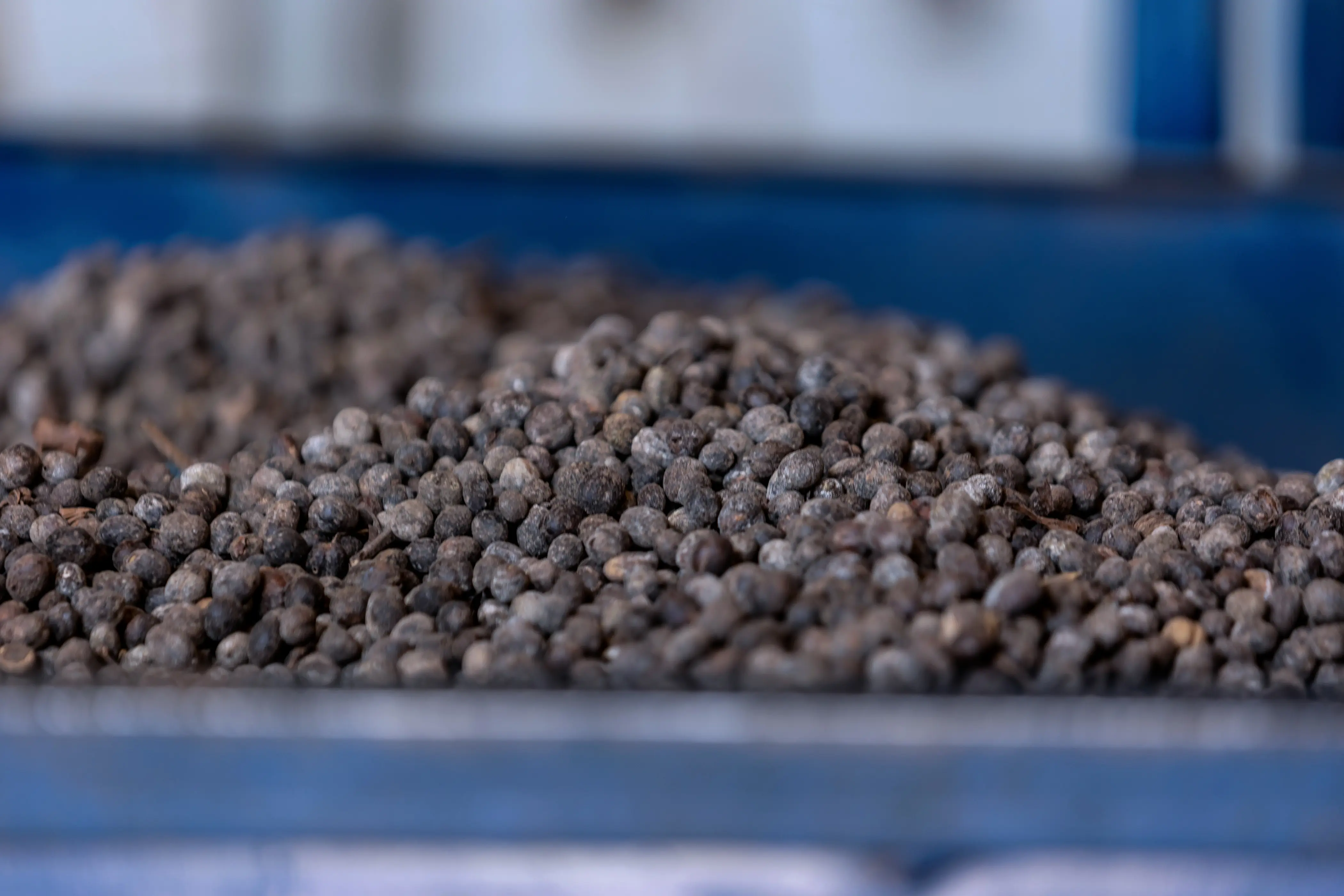 Natural Processing - Image 1